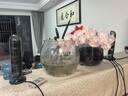 哈曼卡頓Soundsticks 5 音樂(lè )水晶5代玄光版丁禹兮桌面藍牙音箱低音炮音響水晶5黑色居家藝術(shù)音響生日禮物 【重磅上新】水晶5·玄光版 曬單實(shí)拍圖