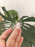 豆蔻時(shí)光和田玉白玉耳墜18K金鑲玉三葉草耳飾鑲翡翠送女友老婆送媽媽 曬單實(shí)拍圖