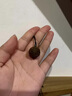 九刀匠越南芽莊奇楠沉香雕刻龍珠吊墜真品沉水老料棋楠珠小掛件小眾項(xiàng)鏈 99分沉水 直徑約17mm*2.4g周長7 曬單實(shí)拍圖