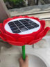 音絮1300首太陽(yáng)能蓮花插卡播放器室內(nèi)戶(hù)外兩用超大充電電池24小時(shí)播放不斷電菜園陽(yáng)臺(tái)屋頂防雨防雷音箱 紅色太陽(yáng)能-內(nèi)置38首 曬單實(shí)拍圖