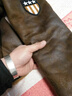 JEEP SPIRIT皮毛一體加絨皮衣男冬季翻領(lǐng)羊羔絨機(jī)車皮夾克男士加厚棉衣襖外套 咖啡 M 曬單實拍圖
