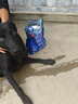 LEGENDSANDY藍氏狗糧真鮮乳鴿中小型犬泰迪比熊生骨肉凍干鮮肉犬糧1.5kg3斤 曬單實(shí)拍圖