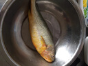 海名威 冷凍黃花魚(yú)700g/2條 寧德大黃魚(yú)地標 海鮮水產(chǎn) 生鮮魚(yú)類(lèi) 海魚(yú) 曬單實(shí)拍圖