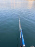 光威（GW）鱼竿手竿4.8米水色良辰竞技5H28调大综合竿钓鱼竿台钓竿黑坑鱼杆 实拍图