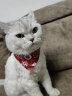 Puppytie猫咪用品猫铃铛项圈宠物颈圈围脖三角巾围兜 红色 均码 实拍图