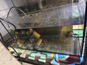徹朗徹朗魚(yú)缸家用桌面客廳小型電視柜旁超白生態(tài)過(guò)濾深水烏龜缸養龜 【懸浮感底座|極簡(jiǎn)】17cm矮款 曬單實(shí)拍圖