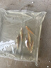 金苔鼠魚(yú)魚(yú)缸清潔魚(yú)工具魚(yú)魚(yú)缸除藻清理糞便小型熱帶觀(guān)賞魚(yú)魚(yú)活體 金苔鼠4條送備損2條【發(fā)6條】 曬單實(shí)拍圖