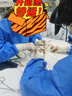 東海錦帆10件醫(yī)用無菌一次性隔離衣無紡布手術(shù)衣反穿防護(hù)服手術(shù)服單獨(dú)包裝 宏達(dá)加厚螺紋袖口【獨(dú)立包裝10件】 曬單實(shí)拍圖