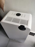 先鋒（SINGFUN）14升除濕機/抽濕機 家用除濕機  手機WiFi控制 負離子除菌 衣帽間臥室客廳除濕器CFS12B-25AZ 曬單實(shí)拍圖