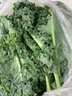 羽衣甘藍(lán)新鮮 綠色沙拉蔬菜涼拌甘蘭嫩葉榨汁西餐食材 500g 曬單實(shí)拍圖