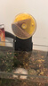 貝初眾自動(dòng)喂魚(yú)器魚(yú)缸自動(dòng)喂食器小型魚(yú)喂魚(yú)投食器定時(shí)喂魚(yú)器魚(yú)糧喂食器 魚(yú)缸自動(dòng)喂食器【黃色款】 智能喂食 經(jīng)久耐用 曬單實(shí)拍圖