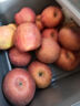 洛川蘋(píng)果（luochuanapple）【順豐】陜西延安紅富士蘋(píng)果洛川蘋(píng)果產(chǎn)地直發(fā)脆甜多汁能帶皮吃 90mm 果8.5斤爆賣(mài)12±顆有空格 曬單實(shí)拍圖