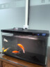錦鯉魚(yú)活體觀(guān)賞魚(yú)活魚(yú)小型易養冷水淡水魚(yú)小魚(yú)苗錦鯉金魚(yú)好看錦鯉 6-8cm 六色錦鯉套餐6條 曬單實(shí)拍圖