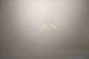 聯(lián)想拯救者Y7000P 2025等補貼20%電競游戲筆記本電腦滿(mǎn)血RTX5060獨顯 大學(xué)生設計編程剪輯全能本 RTX5060 i7-14650HX｜戰7000 升級｜32G內存 1TB固態(tài)【官方正品 曬單實(shí)拍圖