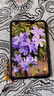 HUAWEI Pura X 12GB+512GB月影灰 1610闊型屏 鴻蒙操作系統5紅楓原色影像 折疊屏手機 華為鴻蒙智能手機 曬單實(shí)拍圖