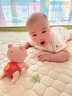 GERTHRON德國抬頭玩具訓練嬰幼兒0一1歲哄娃神器早教電動(dòng)寶寶學(xué)爬行充電款 【電池款】粉【兒歌+音樂(lè )+叫爸媽】 曬單實(shí)拍圖
