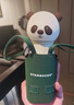 星巴克杯子2024年旅行熊貓系列簡(jiǎn)約竹綠立體陶瓷塑料吸管保溫水杯 237ml綠圍裙熊貓造型不銹鋼保溫 曬單實(shí)拍圖