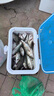 SHIMANO日本進(jìn)口魚(yú)線(xiàn)線(xiàn)斑點(diǎn)線(xiàn)線(xiàn)主線(xiàn)線(xiàn)拉力臺釣海釣路亞海竿釣魚(yú)線(xiàn)線(xiàn)子線(xiàn) 淡藍色斑點(diǎn)子線(xiàn) 線(xiàn)210米【單卷裝】 0.4號 曬單實(shí)拍圖