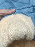 迪士尼新款一體棉校服神器童裝羽絨棉服內膽中大男兒童保暖女童外套 淺藍色 整塊棉不起坨 160 建議身高140-155CM 曬單實(shí)拍圖
