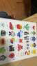 看見看不見（奇想國童書）養(yǎng)想象力、探索力與好奇心，幫助孩子建立積極的自我意識 曬單實拍圖