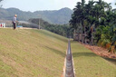 QCDD護(hù)坡固土草籽種子四季青耐寒矮草坪種孑山邊坡公路紫穗槐灌木植物 護(hù)坡王/斤【山體邊坡耐旱】 曬單實(shí)拍圖