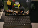 微軟（Microsoft）Surface Pro 第11版 二合一筆記本電腦 國家補貼20% 輕薄本 AI+PC 驍龍 X Elite 16G 512G 亮鉑金 曬單實(shí)拍圖