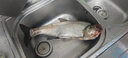 達億瓦（DAIWA）23款史帝茲魚(yú)線(xiàn)輪水滴輪STEEZ AII TW 1000四弟子A2海釣遠投漁輪 1000L 左手 速比6.3 曬單實(shí)拍圖
