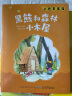 班班共读一年级小巴掌童话黑熊和森林小木屋安徽少年儿童出版社小老鼠稀里哗啦桥梁注音版春风文艺出版社大头儿子和小头爸爸玩具医院注音美绘版长江少年儿童出版社核桃山桥梁注音版春风文艺出版社父与子精编彩图系列  实拍图