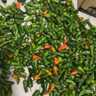 江西特產(chǎn)正宗余干新鮮小辣椒農(nóng)家土辣椒新鮮辣椒中辣特香現(xiàn)摘蔬菜 5斤 曬單實拍圖