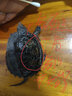 芊姹佛鱷純佛爆刺王原種純佛鱷雜佛鱷苗寵物小鱷龜活物北美小鱷觀(guān)賞龜 3-4厘米（原種爆刺純佛） 單身1只+龜糧 曬單實(shí)拍圖