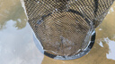 溪流魚(yú)護野釣小魚(yú)魚(yú)護便攜小網(wǎng)眼小白條小雜魚(yú)小號釣魚(yú)網(wǎng)兜小眼網(wǎng) 20cm 2m 【地插款】-2毫米眼 無(wú)規格 曬單實(shí)拍圖