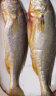 三都港 冷冻三去大黄鱼1kg/2条装 黄花鱼 深海鱼 生鲜 鱼类 海鲜水产 实拍图