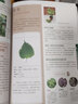 圖解陽臺種菜一學(xué)就會   播種、間苗、施肥、除蟲、收獲……感受親手種植的樂趣，打造自己的專屬菜園！ 曬單實拍圖