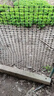 界圖 塑料網(wǎng)格防護養殖養雞圍欄網(wǎng)玉米網(wǎng)圍欄安全網(wǎng)防護網(wǎng)格護欄圍網(wǎng) 1.0米高+3厘米孔+扎帶 2.3mm厚(50米/卷)【簡(jiǎn)單防護】 曬單實(shí)拍圖