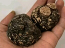 北京同仁堂秘魯進(jìn)口瑪咖正宗原產(chǎn)地新鮮山特級馬卡片粉泡酒料干果 黑瑪咖30頭500g 整個(gè) 曬單實(shí)拍圖