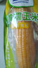都樂(lè )黃糯玉米棒真空袋裝非轉基因東北新鮮糯玉米棒子代餐蒸煮 8根裝（每根200g） 曬單實(shí)拍圖