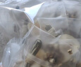 康琪愛(ài)倍兒童清心湯210g燈心草雪梨海底椰麥冬無(wú)花果材料小兒心火旺內熱 曬單實(shí)拍圖
