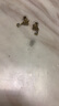繆色（MiU Se）貓眼石蝴蝶愛心水滴鋯石s925銀針耳環(huán)女小眾設計感氣質(zhì)耳釘 A1590-1金色款  A23-308 925銀針 曬單實拍圖