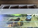 泊蘭滴流盒魚(yú)缸過(guò)濾器水循環(huán)過(guò)濾盒壁掛頂部過(guò)濾槽低音凈水系統上濾盒 P255X+混合凈化組+1000L泵+水泵減震 曬單實(shí)拍圖