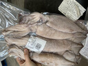 七冰東 新鮮大魷魚(yú) 原條冷凍深海烏賊超大鐵板魷魚(yú)燒烤火鍋食材海鮮水產(chǎn) 新鮮整條大魷魚(yú) 3斤(凈重)  4條 7-8兩/條 曬單實(shí)拍圖