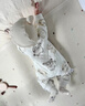 優(yōu)奇嬰兒連體衣洋氣可愛夾棉保暖哈衣加厚款連身衣男女寶寶裝a類家居 宮廷兔兔 66cm 曬單實拍圖