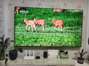 Vidda 發(fā)現(xiàn)X Plus 海信電視75英寸 Mini LED 2340分區(qū) 288Hz超高刷 以舊換新家電國家補(bǔ)貼游戲75V7R-PRO 曬單實(shí)拍圖