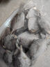【特大號】銀鯧魚東海國產新鮮銀鯧魚平魚海捕批發(fā)白鯧魚速凍帶冰 整箱5斤 每斤7-8條【超值裝】 曬單實拍圖