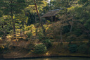 適馬（SIGMA）適馬35mm F2 DG DN Contemporary 35/2 全幅微單定焦 索尼E口 曬單實(shí)拍圖