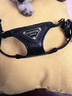 puppytie狗狗胸背牽引繩中小型犬泰迪柯基可調(diào)節(jié)背心式溜狗繩輕便38克起 黑色騎士-套裝(胸背+牽引繩) XXS碼-建議1-6斤 曬單實拍圖
