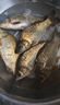 民間藝人魚(yú)鉤子線(xiàn)雙鉤成品仕掛鉤成品子線(xiàn)魚(yú)鉤綁好金袖鉤手工綁制魚(yú)線(xiàn)線(xiàn)組 金袖有刺4.0號鉤-0.8子線(xiàn) 曬單實(shí)拍圖