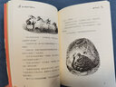 森林大火（奇想國(guó)世界暢銷小說(shuō)系列）家庭必備的動(dòng)物小說(shuō)，看見(jiàn)弱小者的抗?fàn)幣c成長(zhǎng) 曬單實(shí)拍圖