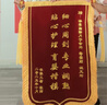 馳亨錦旗定制訂做制作次日達感謝送醫生幼兒園老師月嫂紅娘健身駕校教練律師物業(yè)裝修寵物醫院訂婚生娃 大龍須鍍金字 70*110cm中號 曬單實(shí)拍圖