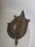 吉野木甲魚(yú)專(zhuān)用藥腐皮爛甲病爛身白底烏龜老鱉王八魚(yú)塘水產(chǎn)養殖消毒殺菌 買(mǎi)3 送2 發(fā)5瓶【改善水質(zhì)】 曬單實(shí)拍圖