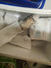 辰實【順豐】現(xiàn)挖脆藕 洪湖嫩蓮藕 新鮮湖北蓮藕 4斤【今年新脆藕 順豐快遞】 曬單實拍圖